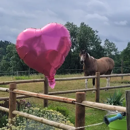 Les Crins Au Bord Du Dompierre-Sur-Yon