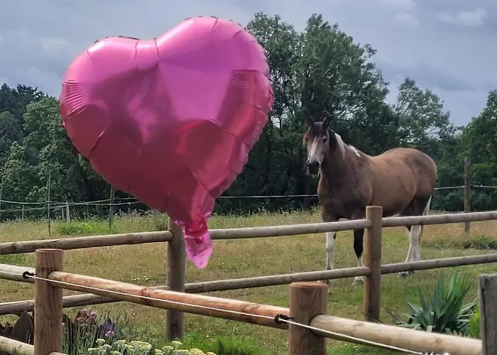 Les Crins Au Bord Du Dompierre-Sur-Yon