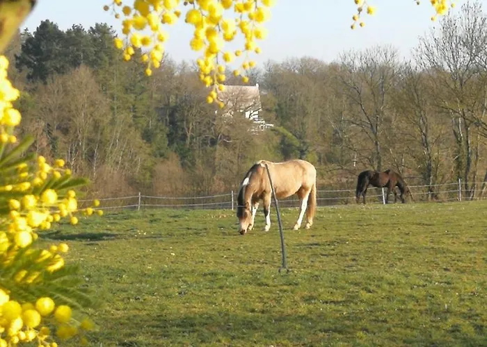 度假居 Les Crins Au Bord Du